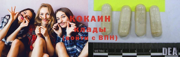 MESCALINE Гусь-Хрустальный