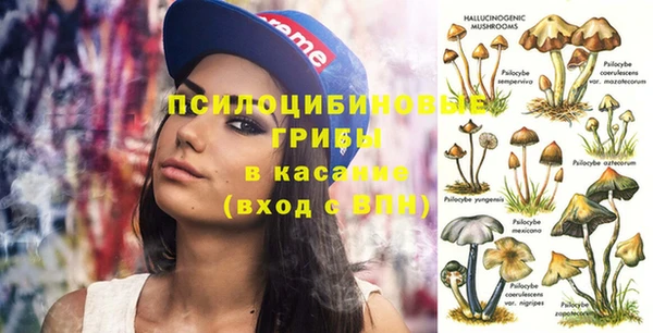 альфа пвп Гусиноозёрск