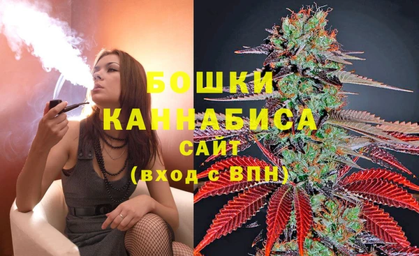 альфа пвп Гусиноозёрск