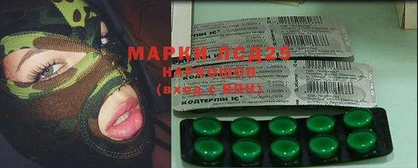 MESCALINE Елизово
