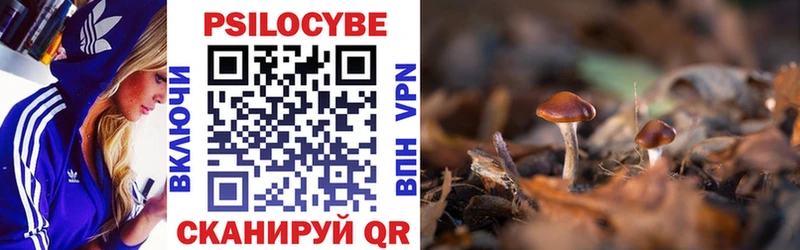 Псилоцибиновые грибы прущие грибы  Купить закладки  Лукоянов 